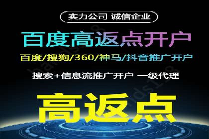 SEM服务案例：助力企业拓展海外市场